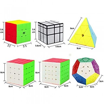 HJXDtech Confezione da 12 Speed Cube Set con Borsa per Cubi Tipi di Cubi da Competizione Professionale Mondiale 2x2 3x3 4x4 5x5 Pyraminx Megaminx Skewb SQ1 Puzzle Giocattoli (Stickerless)