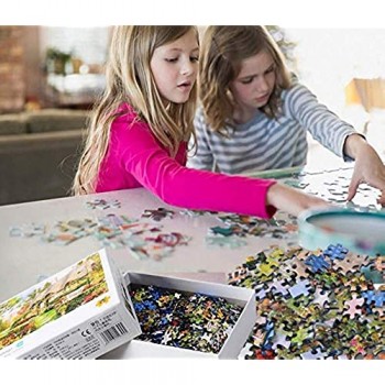 EACHHAHA Puzzle 1000 Pezzi paesaggi-Puzzle di Cartone-Relax Puzzle Giochi-rompicapo Puzzle Aurora (70x50 cm / 27 5x19 7 Pollici) per Bambini e Adulti Regali