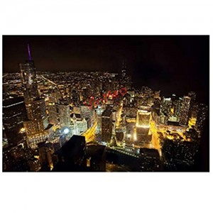 YY-one 300 Pieces Jigsaw Puzzles View from The 80th Floor of Chicago at City Wooden Jigsaw Puzzles Kids Educational Family Game Toys Gift for Adults Teens