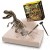 MUSCCCM Kit di scavi per dinosauri kit di scavo fossili di scheletro Dino Modello di dinosauro realistico Giocattoli educativi Regalo per bambini Ragazzi Ragazze