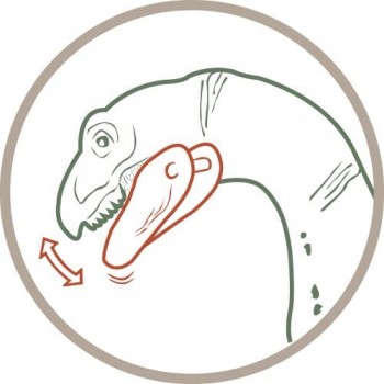 Schleich 14529 - Terizinosauro