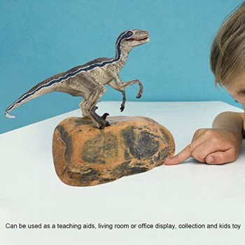 Simulazione Dinosauro Elettronico Educativo Realistico Azione dei Dinosauri Giocattolo Morbido Modello Statuina Preistorica Dinosauro Regalo per 3 4 5 6 7 Anni Bambini (Home Display Collection # 1)