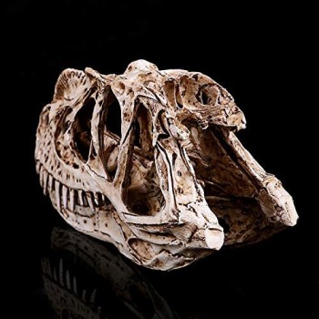 VOANZO Resina Angolo di Drago Nasale Dinosauro Cranio Modello Replica Dinosauro Dente Teschio Fossil Attrezzo per l\'insegnamento della fotografia Ornamento Casa