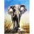 300 Pezzi Elefante Paesaggio Adulti Puzzle di Legno Giocattoli Regali per Foto Telaio di Famiglia