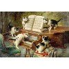 300 Pezzi Gatto e pianoforte Paesaggio Adulti Puzzle di Legno Giocattoli Regali per Foto Telaio di Famiglia
