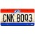 Supernatural | CNK 80Q3 | Metal Stamped License Plate